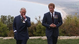 ‘Does not surprise me’: Reports Royal Family didn’t contact Meghan and Harry after car chase