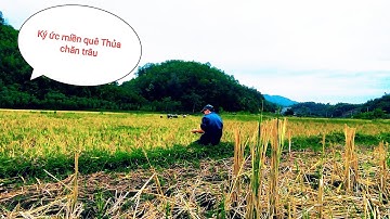 Ký Ức Miền Quê | Thủa Chăn Trâu | Bắt Con Hên Hến | NGOC HUY OFFICIAL