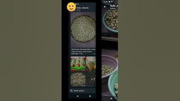 Thumbnail of kursus bakso online offline