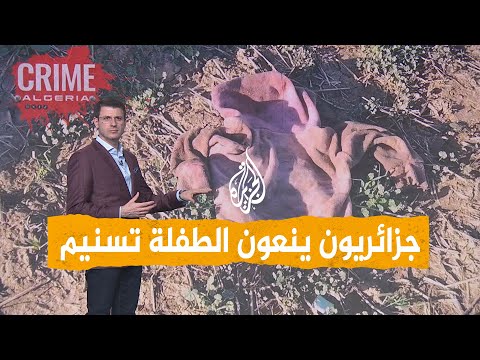 شبكات غضب في الجزائر كلاب ضالة تنهش جسد طفلة