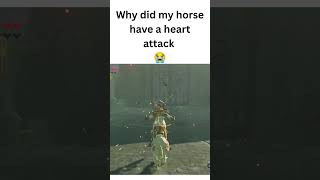 Why did that even happen 😭  #botwshorts #zelda #botw #nintendo