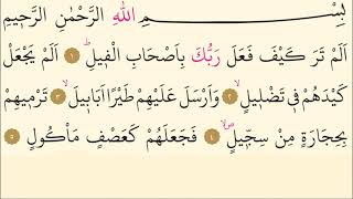 105- Surah Al-Fil - Maher Al Muaiqly - Arabic translation HD