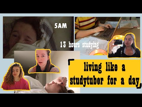 I lived like a studytuber for a day- woke up at 5am- 13 hrs of work- is productivity culture toxic?