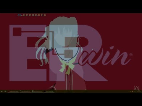 ERwin основы работы