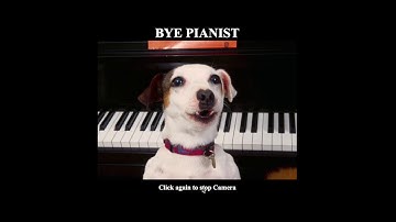 Carnegie Mellon University 15112 Final Project