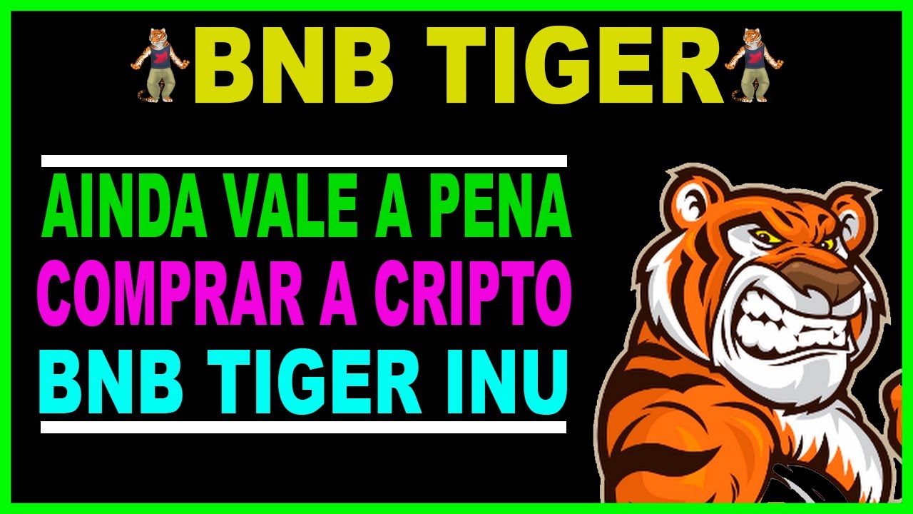 AINDA VALE A PENA COMPRAR BNB TIGER INU A NOVA SHIBA INU COIN DO MUNDO DAS  CRIPTOMOEDAS!