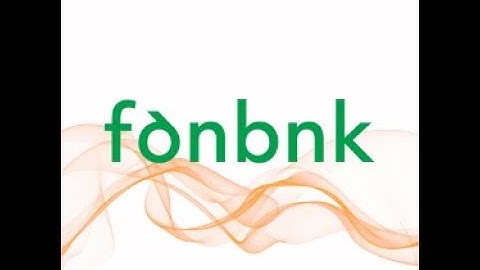 Fonbnk TSWU Demo Day Video