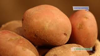 5 фактов о картошке 5 фактов о картошке