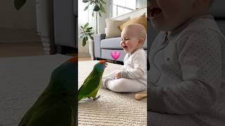 😍 Cuteness Overload! 赤ちゃんと動物の癒し動画 #Shorts