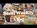 Semi weekly vlog  10  beaucoup de rceptions   livres feutres lego 