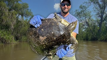 Softshell Turtle Catch and Cook (Turtle Sauce Piquante)