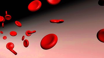 Blood Cells (Particle Emitter) 2 HD