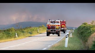 Sept mois après les feux de forêt en Gironde, les sylviculteurs replantent des terres brûlées