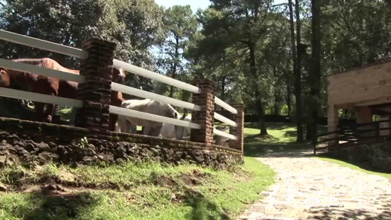 Aventura Summer Camp - YouTube