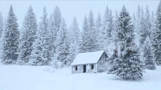 Howling Wind &amp; Blowing Snow | Sounds for Sleep, Study &amp; Relaxation | Relaxing Winter Ambience