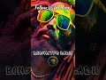Escape to Tropical Bliss with This Infectious Reggae Rhythm! 🌴 #shorts