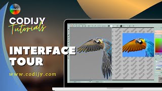 CODIJY Colorizer Pro Tour | Interface