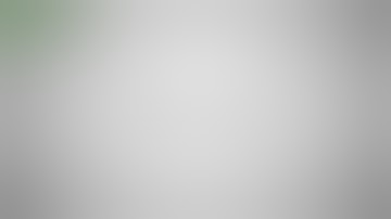 Vaporflask Classic - Lite -  Stout