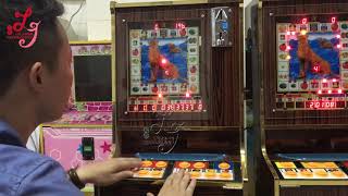 Fruit King / Metro Mario Game Machine Kits / Arcade Machine / Mario Slot machine parts screenshot 5