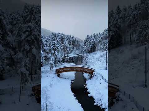 Winter in Sirdal ! Snow, slopes, and cozy cabin life ! ❄️ ⛰????⛷????????????????Spectacular Norway