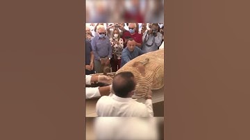 Thumbnail of This mummy tomb was opened after being sealed for 2600 years  #egypt #mummy  #pyramid