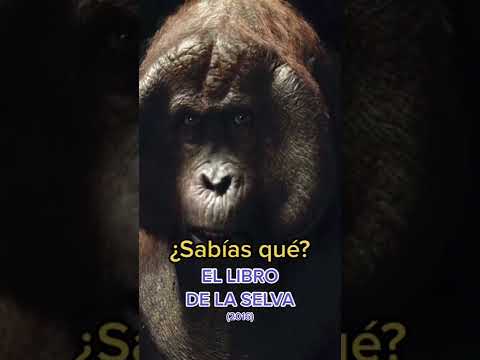 Video: Este regele Louie un gigantopithecus?