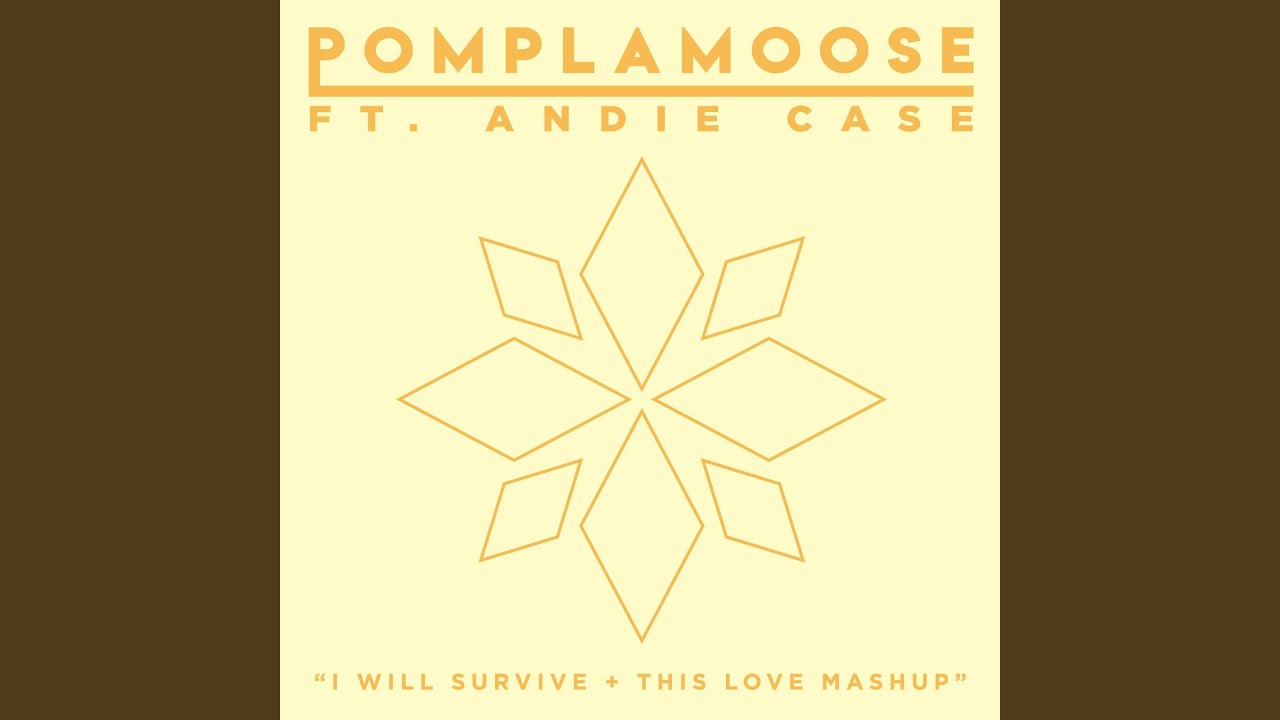 I Will Survive + This Love Mashup