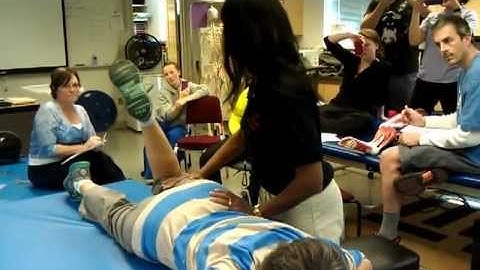 Lower Extremity + Abdominals Manual Muscle Test