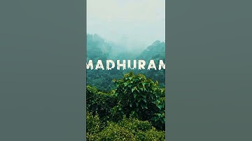 urban jungle font editing // New Status name Trending Reel #viral #trending #urban #shorts