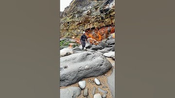 We found a Jurassic Age limestone rock and opened it, in the search for more fossils! 🤯