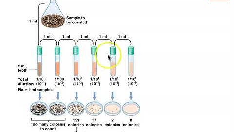 Measuring Microbial Growth (#2of4)