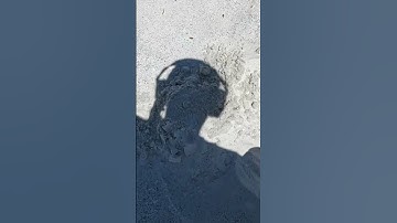 Short #168 - Beach metal detecting with the nokta makro simplex   #metaldetecting