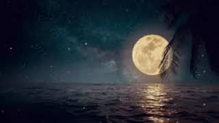 Deep Sleep Music, Insomnia, Sleep Meditation, Calm Music, Sleep Therapy, Study, Relax, Sleeping ★36