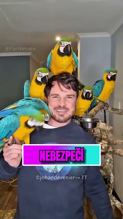 Download lagu Neuvěřitelné pouto mezi lékařem a papouškem! 😱