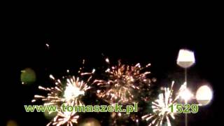 1529.avi