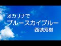 オカリナで「ブルースカイブルー」(歌詞付き)/西城秀樹