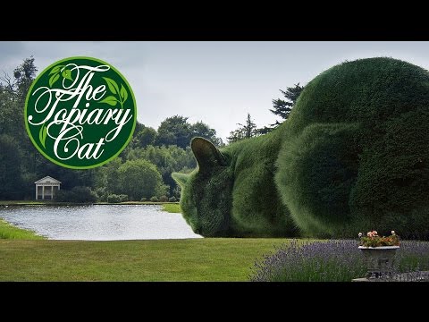 Video: Topiary - Strom šťastia