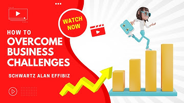 Schwartz Alan EffiBiz Software: Overcome challenges and grow your business fast