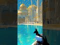 澄みわたる光と水の幻想都市の残響