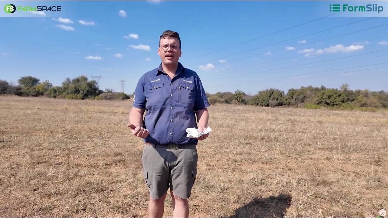 Maak jou en jou boekhouer se lewe makliker!