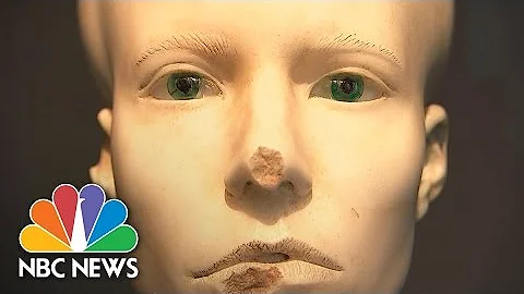 Damien Hirst Unveils ‘Unbelievable’ Exhibit Featuring Medusa, Mickey Mouse | NBC News