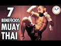 👊7 Benefícios do MUAY THAI | Papo na Pia nº54 💦