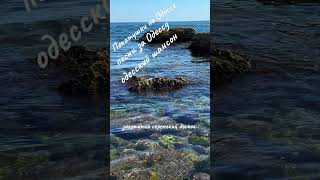 золотится серенький дымок..Покатушки по Одессе Реальная #Одесса Песни за Одессу Одесский #шансон