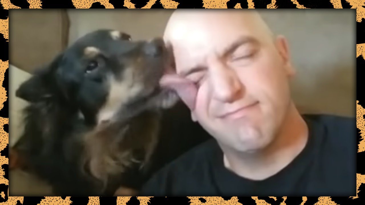 BigCatDerek Instagram Compilation | August 2018