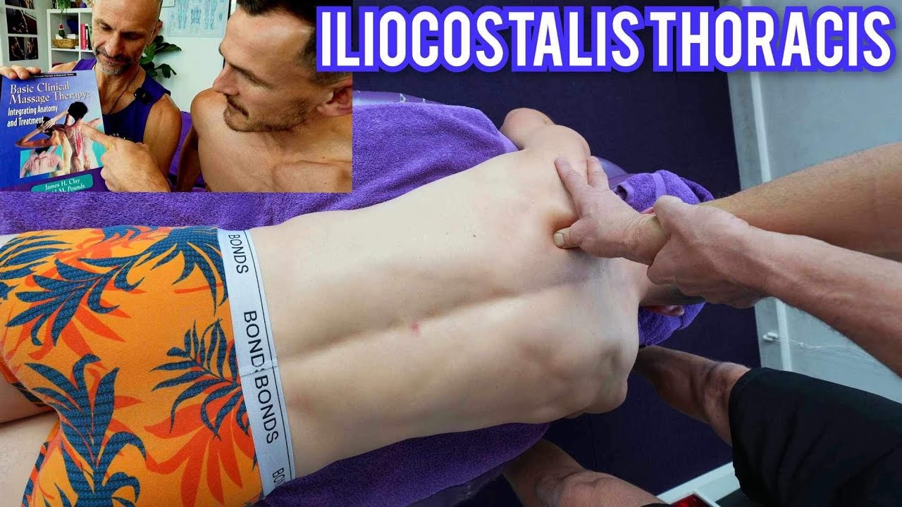 ILIOCOSTALIS THORACIS Treatment | Is This the Deep Pain in Shoulder Blades | Ninja’s Obscure Anatomy