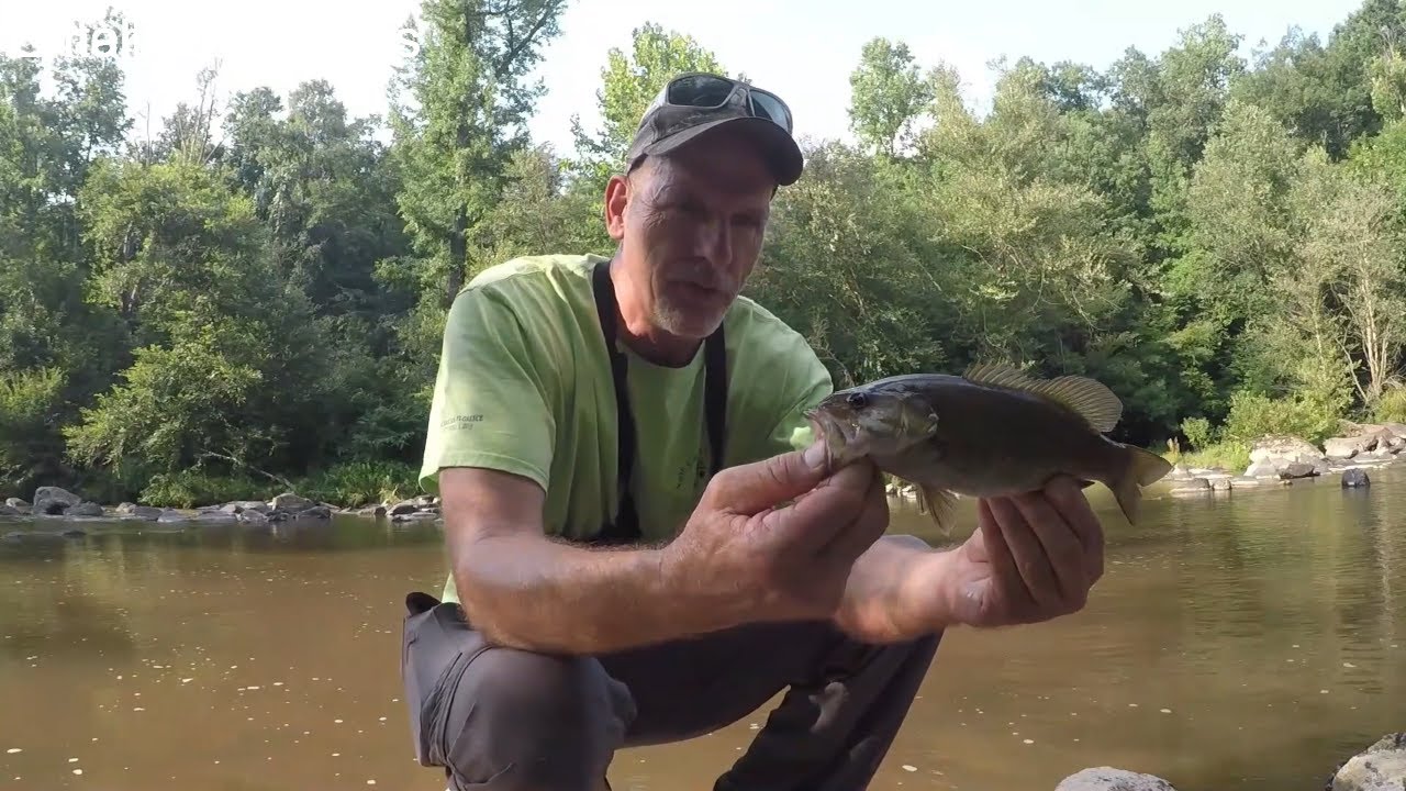 Are There Smallmouth Bass In Nc?