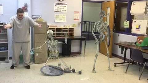 Unleashing The Undead Of Skeleton Warriors (FxGuru)