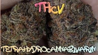 #4 Let's Talk Cannabinoid Lesson 4 TETRAHYDROCANNABIVARIN (THCV)
