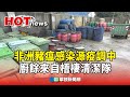 非洲豬瘟疫情
