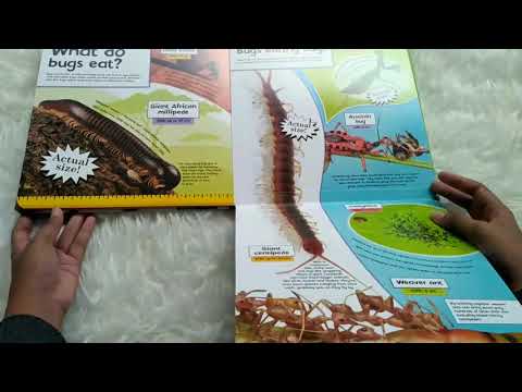 Life-Size Bugs Board Book (Actual Size!)